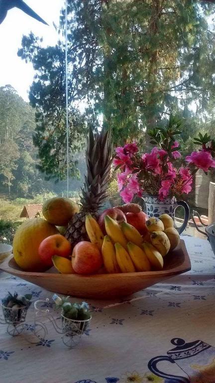 Bed and Breakfast Morada Rancho Da Lua Monte Verde  Exteriér fotografie